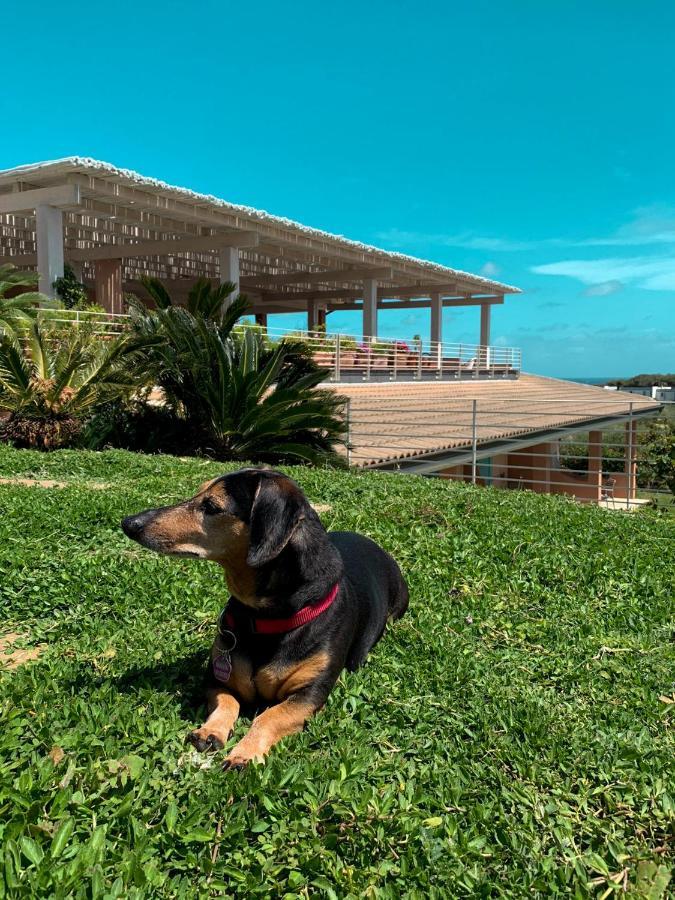 ستينتينو Park Hotel Asinara المظهر الخارجي الصورة